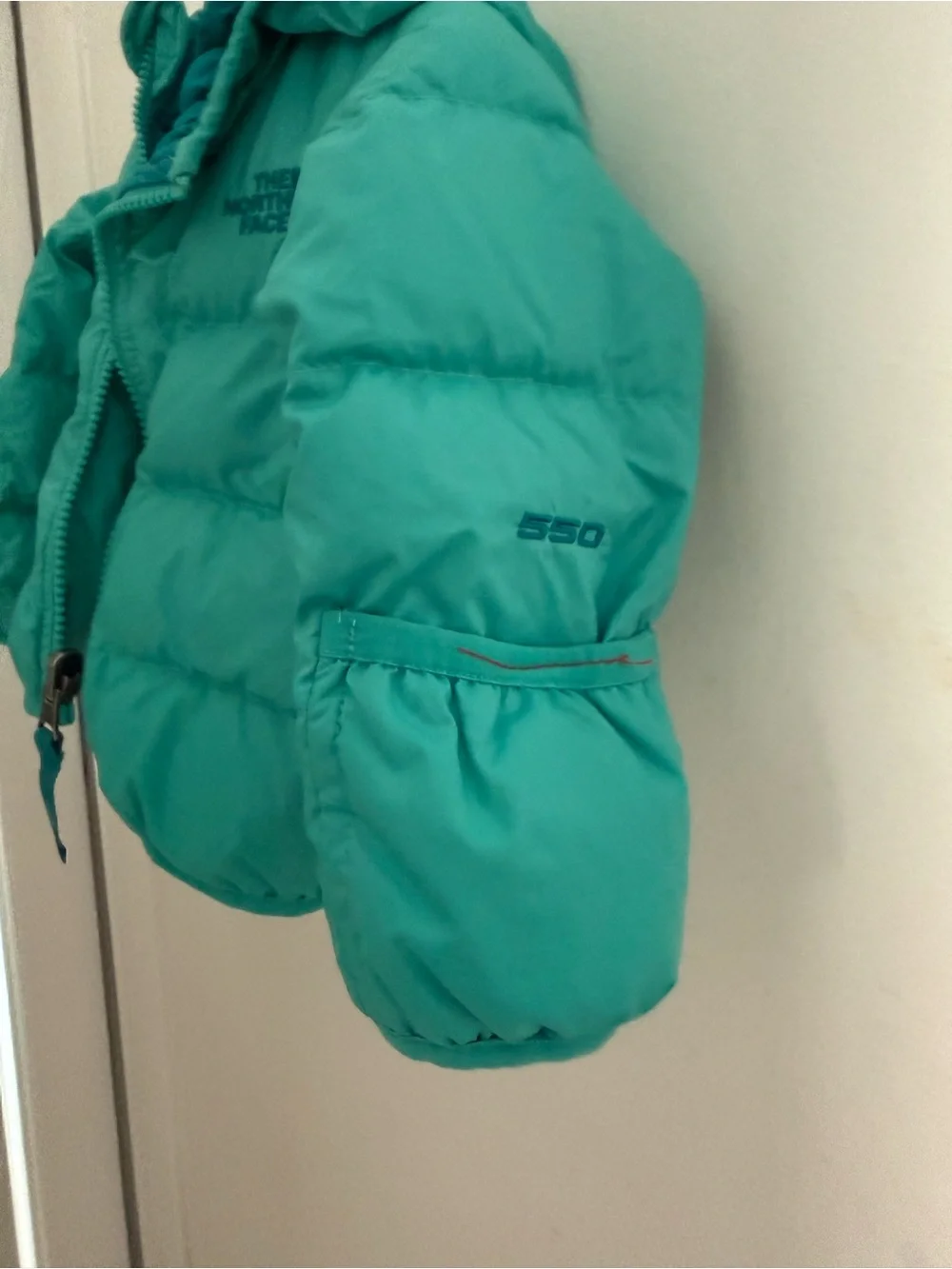 The North Face Teal/Turquoise Kids Puffer reversible hooded and mittens